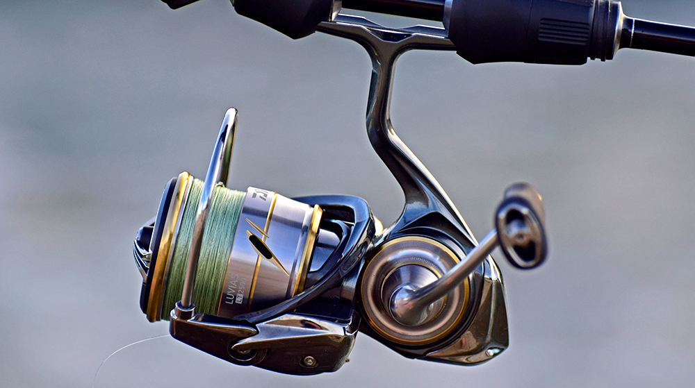 Daiwa Luvias FC LT 2500-XH