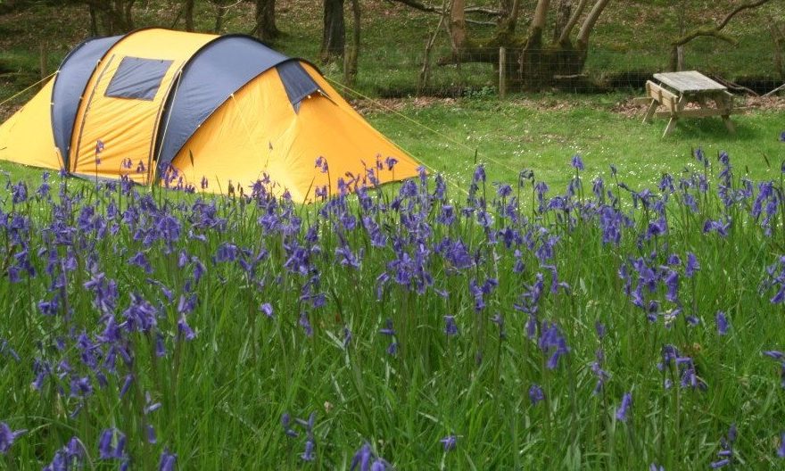 Camping primăvara